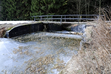 Pixhaier Teich (2) Buntenbock Oberharzer Wasserwirtschaft Bilder